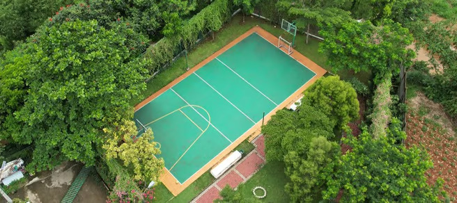 Multifunction Court