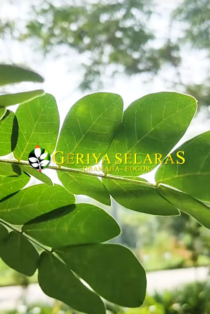 Mars PT Kesuma Agung Selaras